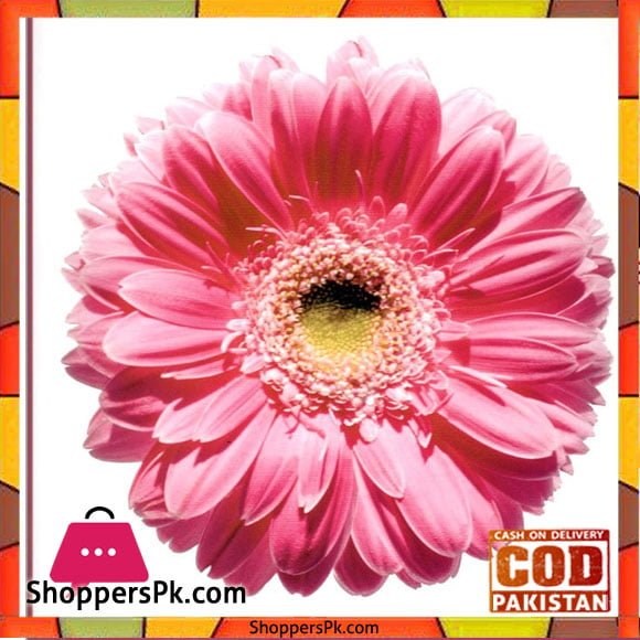 Flower Painting Print with Frame 21 - 12x12 Inch