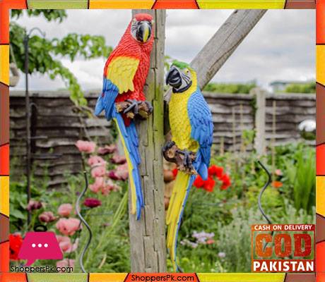 Wall Hanging Real Like Macaw Parrot