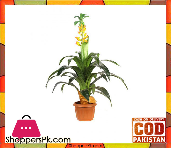 The Florist Living Room Center Table Flower Plant Arrangement - 043