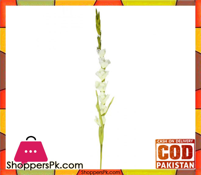 The Florist Living Room Center Table Rubber Stick Flower Arrangement - 082