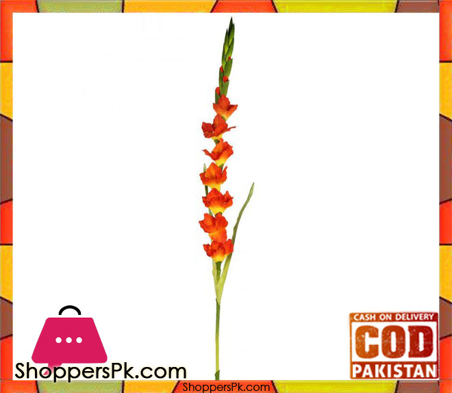 The Florist Living Room Center Table Rubber Stick Flower Arrangement - 084