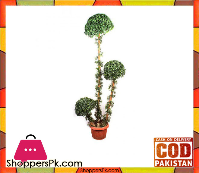 The Florist Luxury Bonsai Mushroom Plant Living Room - 4