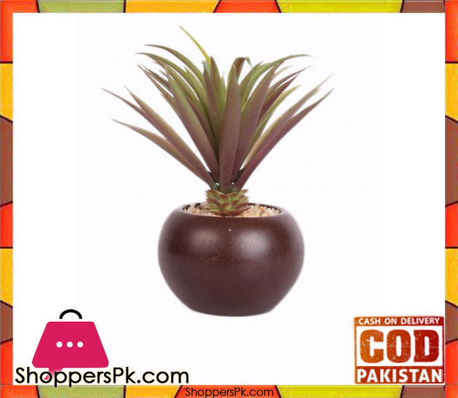 The Florist Artificial Cactus Plant with Pot - FL47