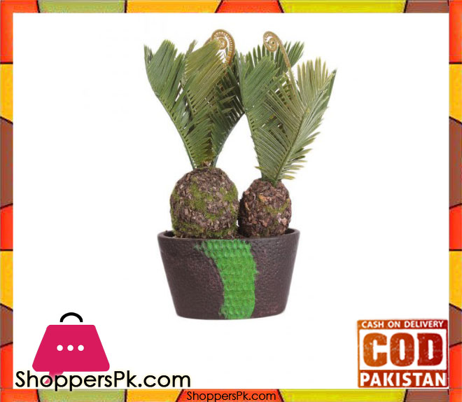 The Florist Pineapple Cactus Arrangement Plant with fibre Pot - FL51
