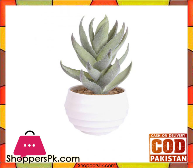 The Florist Artificial Cactus Plant with Pot - FL69