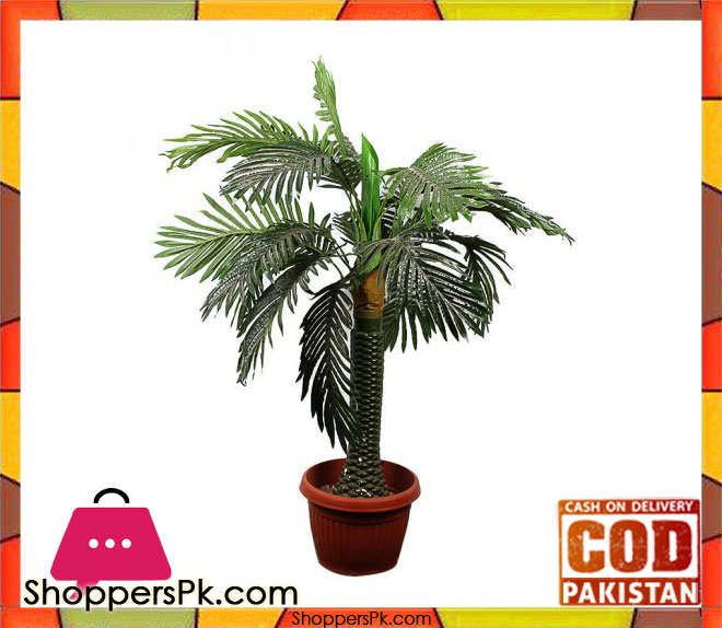The Florist FLOR15 - Small Bottle Rubber Palm Plant with Antique Base
