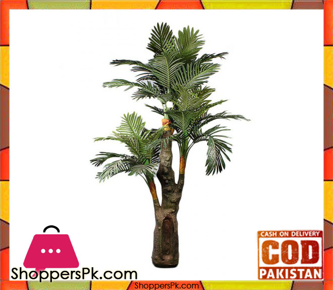 The Florist FLOR21 - Bottle Rubber Palm Lounge Arrangment