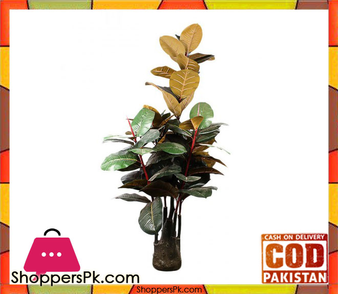 The Florist FLOR22 - Five Branches Rubber Plant