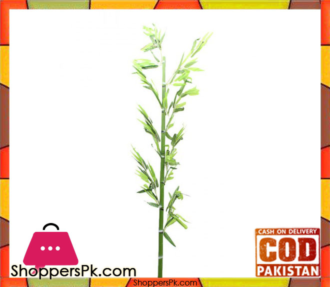 The Florist FLOR25 - Bamboo Stick