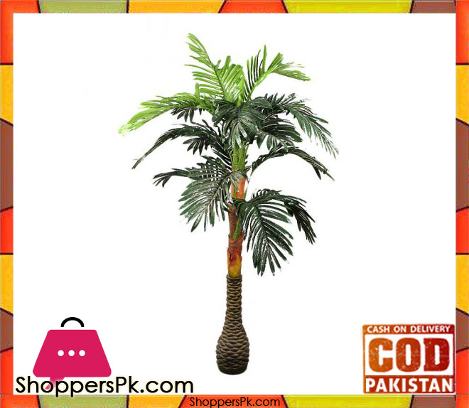 The Florist FLOR20 - Drazenia 3 branches Yellow Line Rubber Plant