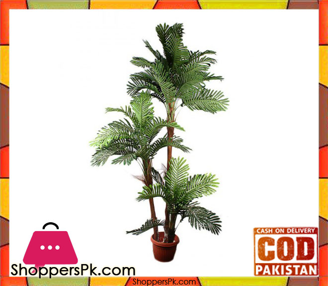 The Florist FLOR23 - Rubber Coconut Chaal Plant