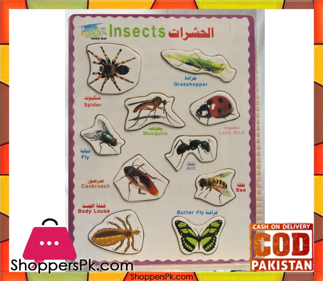 Early Educational Wooden Puzzle Toy Insects