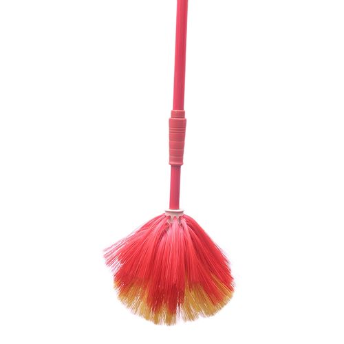 Long Reach Extendable Cob Web Duster