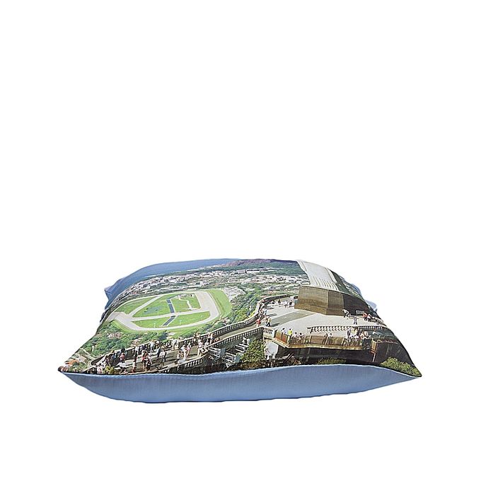 Blue Satin Printed Cushion - VDS-33