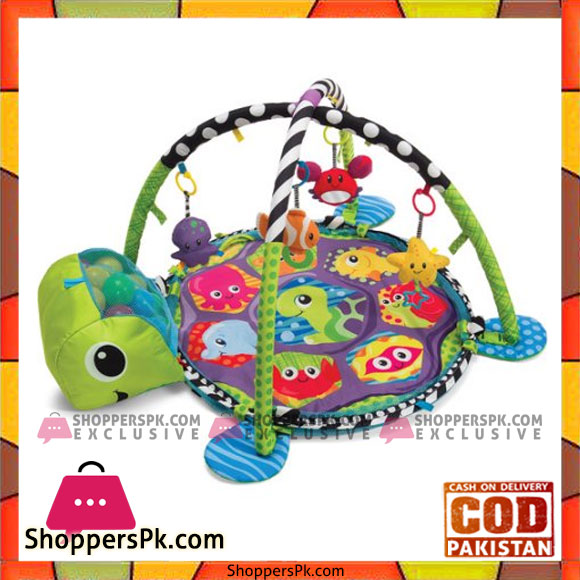 Activity Gym & Ball Pit
