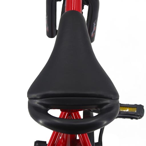 BXV LY-KB010 PINK CYCLE 12 INCH R/O