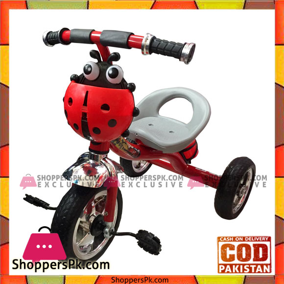 Tricycle With Music Ladybug