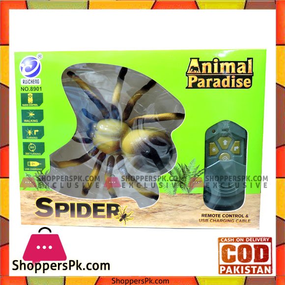 High Quality Remote Control Spider Tarantula