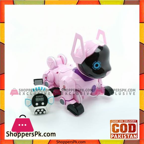 High Quality Kids Playing Robot Stunt Roll Puppy