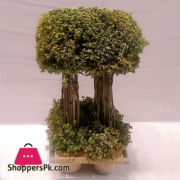 Flower Express Rattan Planter FL-179 Sri-Lanka Made
