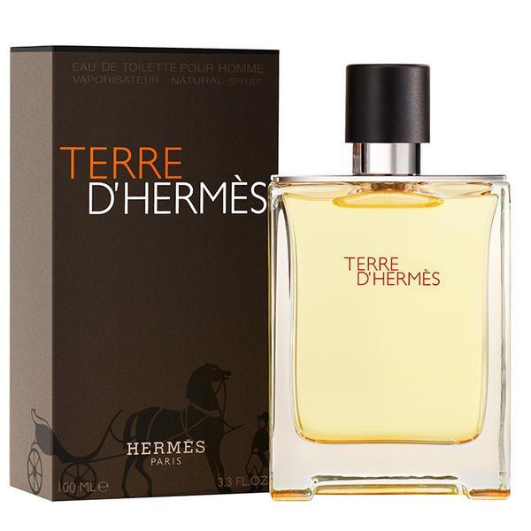 Terre DHermes by Hermes 100ml EDT