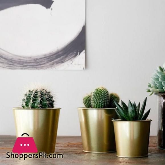 Daidai - Plant Pot (Brass-Colour - 12 cm)