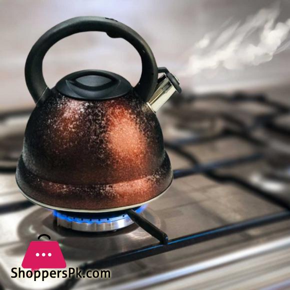 Vicalina Stainless Steel Whistling Kettle