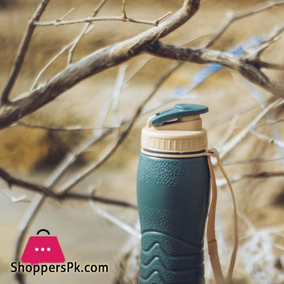 Appollo Spring Thermic Bottle (500 ml)