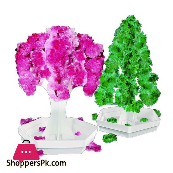 2 in 1 STEM Crystal Experiment Kit – Cherry & Christmas Tree