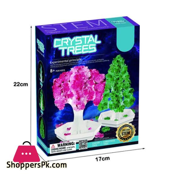 2 in 1 STEM Crystal Experiment Kit – Cherry & Christmas Tree