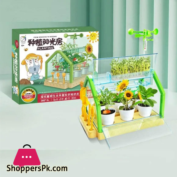 Activity Plant Childrens Planting Homework Experience the Fun