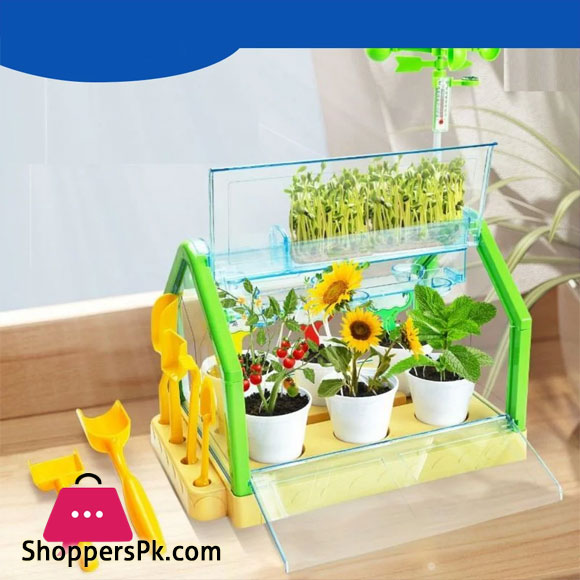 Activity Plant Childrens Planting Homework Experience the Fun