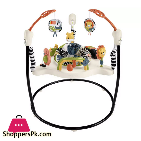 tiibaby Jumperoo in Pakistan