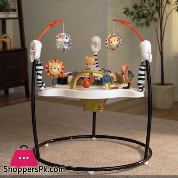 tiibaby Jumperoo in Pakistan