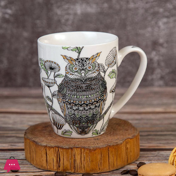 Owl Mug Set of 6