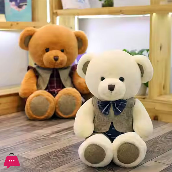 Adorable Teddy Bears in Suit 40CM