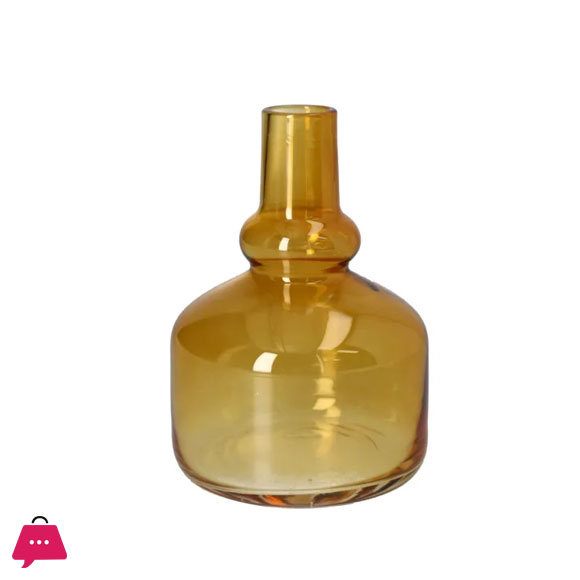 Danny Home Glass Plant Vase 16.7cm