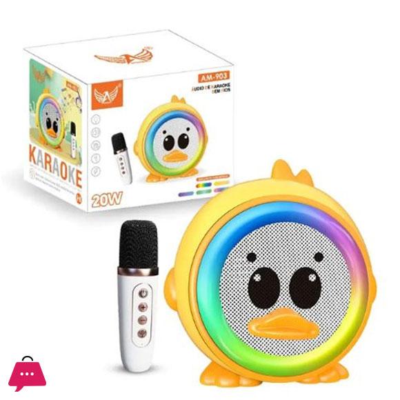 Karaoke Voice Box