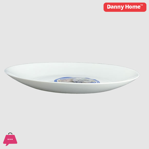 Danny Home Opal Glass Dinner Plate - 10.5inch