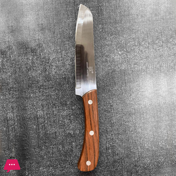Regular Knife fruit & Vegetable Knife Pure Stainless Steel