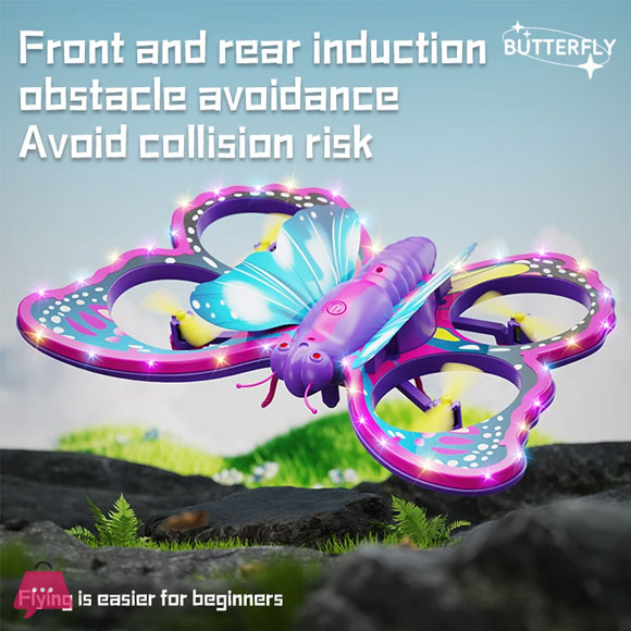 Butterfly RC Drone Four Axis Aircraft Follow Me Feature Plane 360 Rolling Light Stunt Sparkling Airplanes FB-01