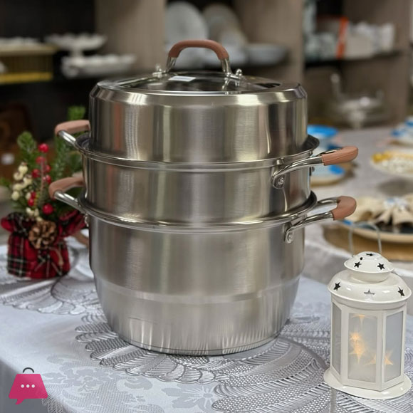 Elegant Stainless Steel Compact 2-Layer Steamer Pot