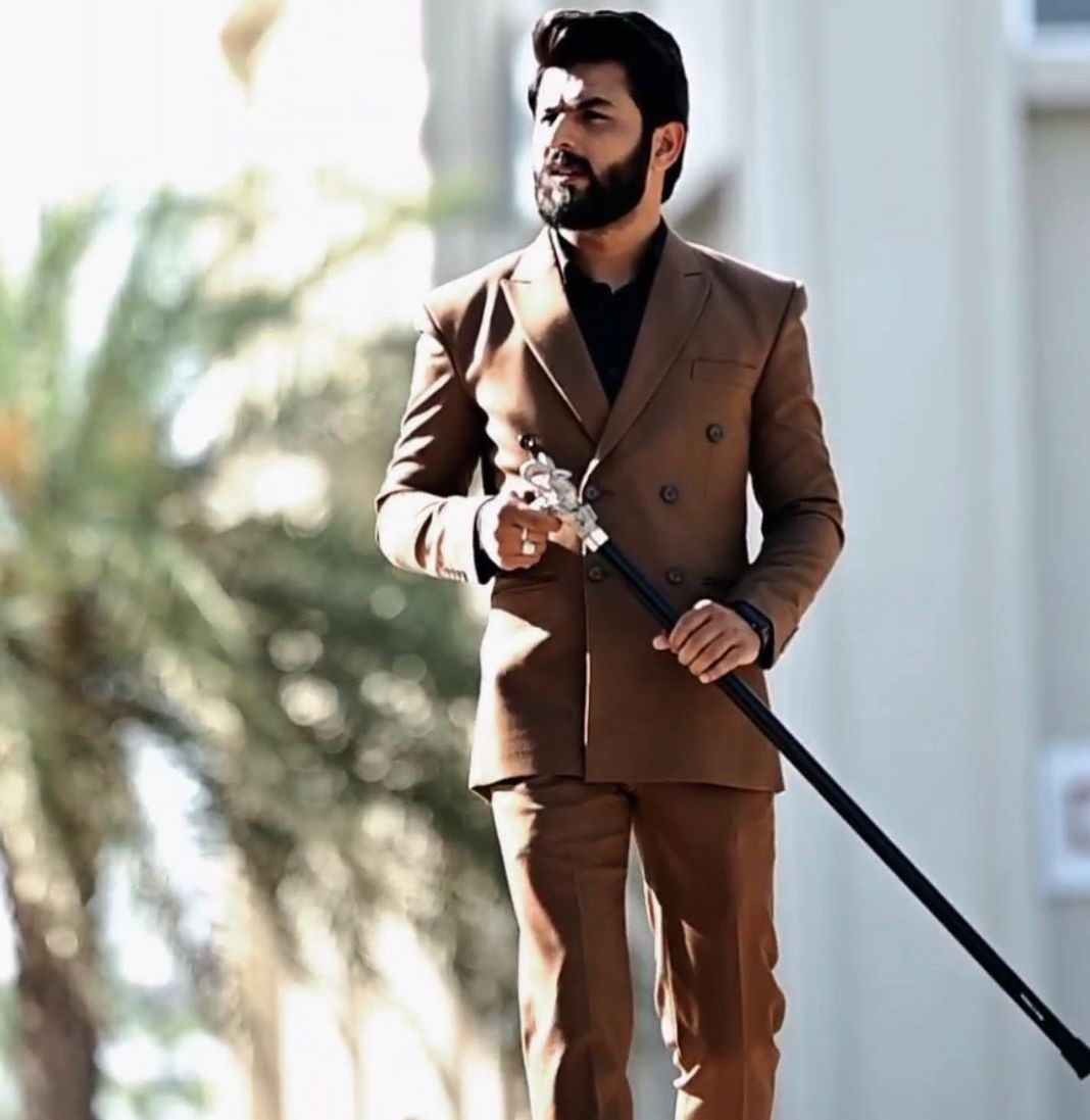 Markhor Handle Walking Stick Premium Walking