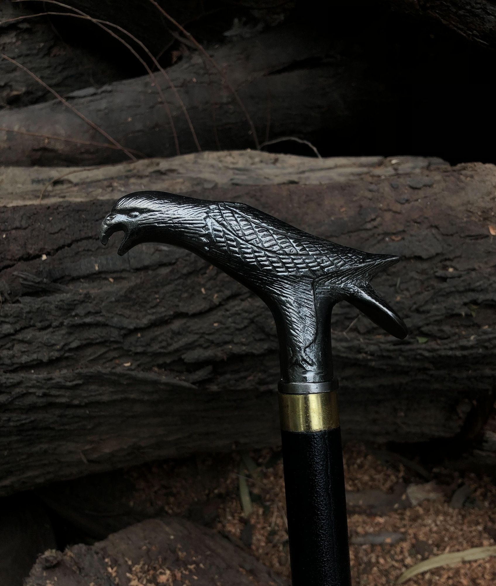 Eagle Shape Walking Cane Bold