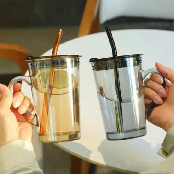 Borosilicate Glass Travel Mug with Lid and Straw 450ml