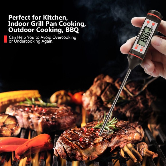 Portable Digital Thermometer JR-1