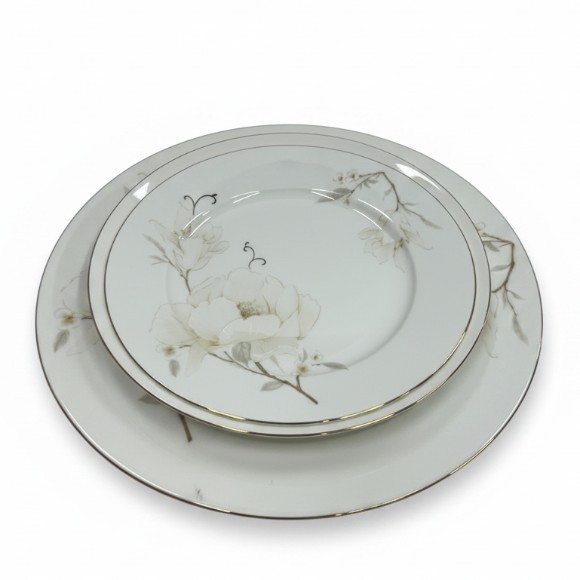 super-bane-china-plate-set-of-18-pcs
