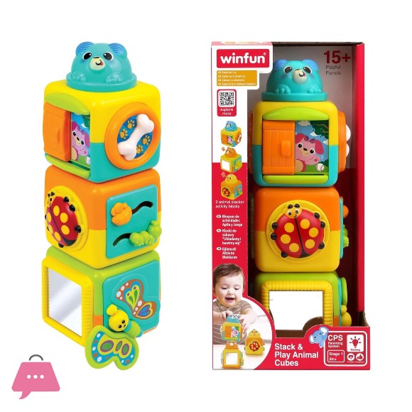 Winfun Activity Blocks – 250112